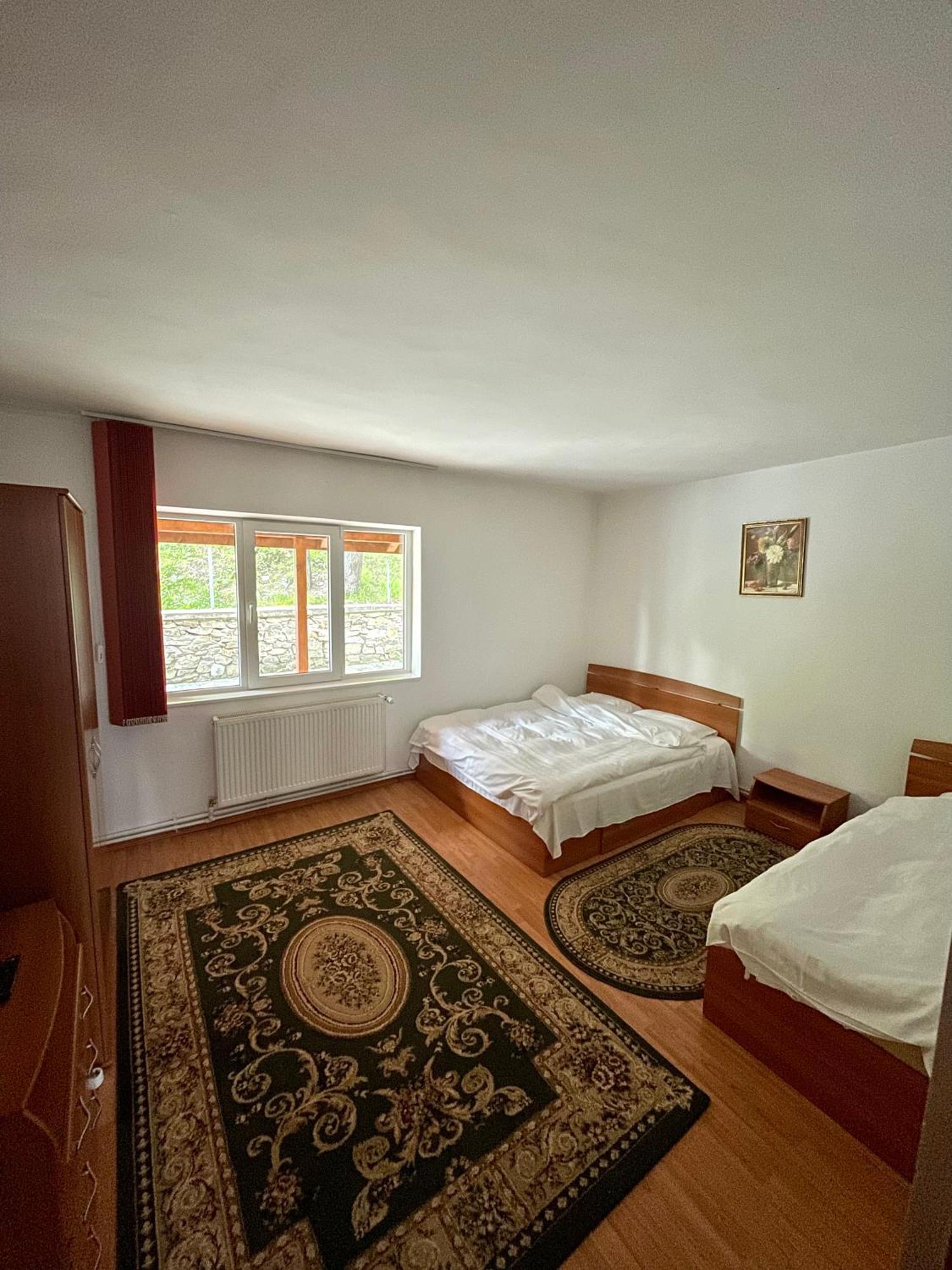 ראנקה Casa De Vacanta Trei Brazi מראה חיצוני תמונה